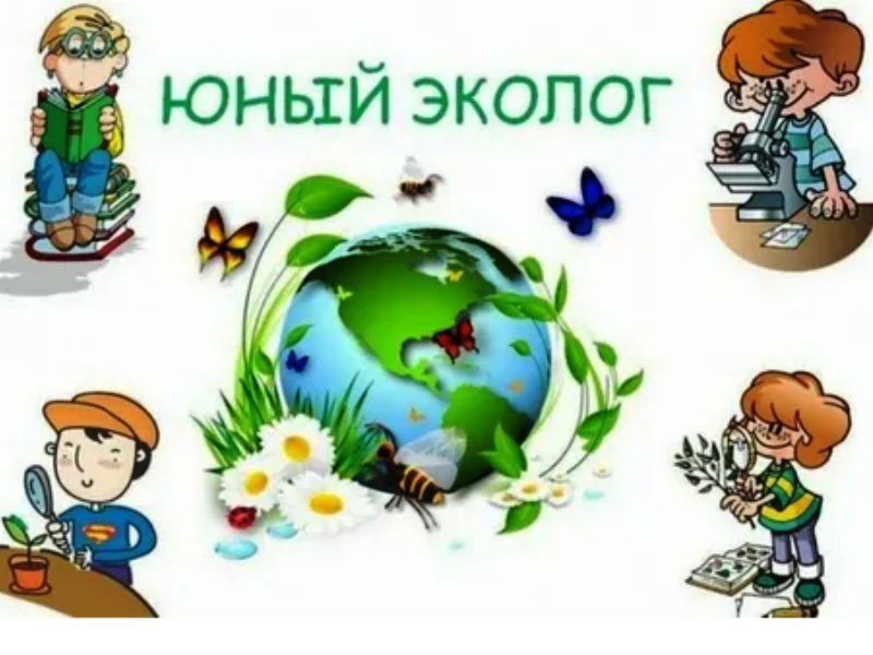 Юный эколог.